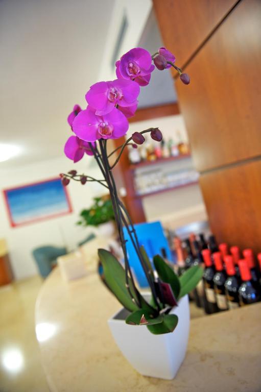Fotografie z fotogalerie ubytování Hotel Garnì Orchidea v destinaci Malcesine