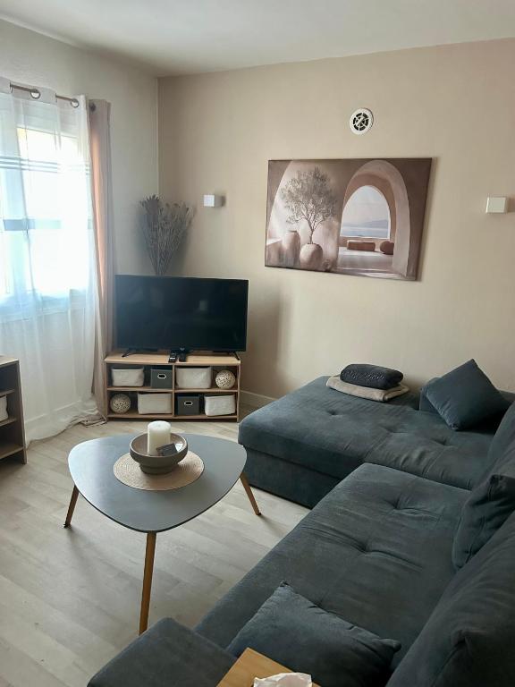 a living room with a couch and a table at Le petit cocon côtois in La Côte-Saint-André