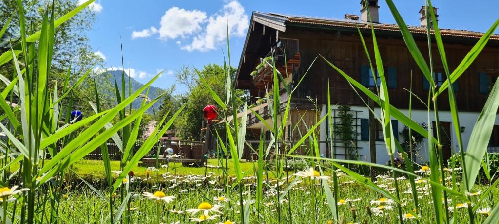 a building in a field of grass and flowers at Ferienwohnung Diechtler inkl. Chiemgaukarte in Ruhpolding