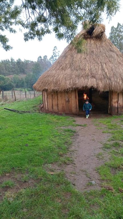 a person standing in front of a hut at Ruka cabaña - Alojamiento Tradicional Mapuche in Temuco