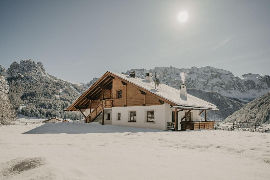 a house with birds on the roof in the snow at Gutonhof in Selva di Val Gardena