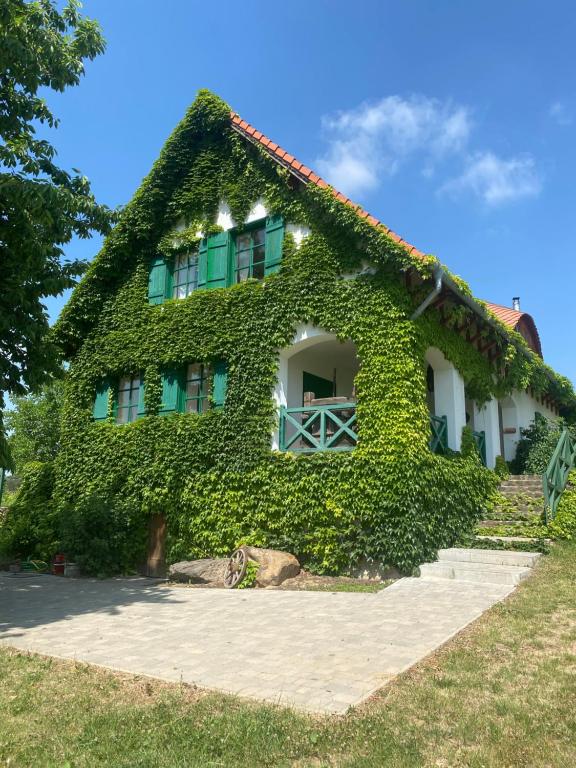 a house covered in ivy on the side at Kolonics Pincészet Vendégház Somló in Somlóvásárhely