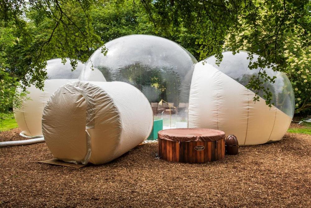 a group of spheres sitting on the ground at Grand bubble in Kent