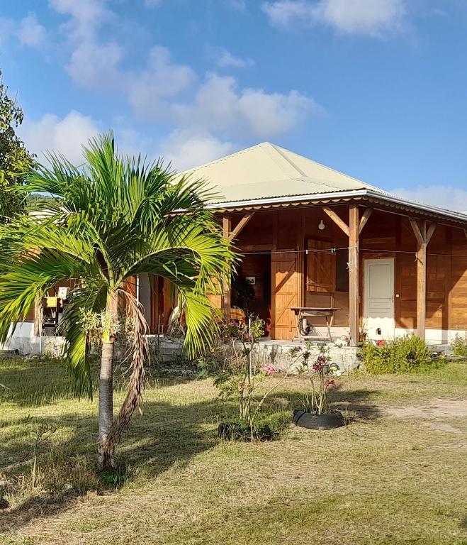 a house with a palm tree in front of it at Chambre Maison Kumba in La Désirade