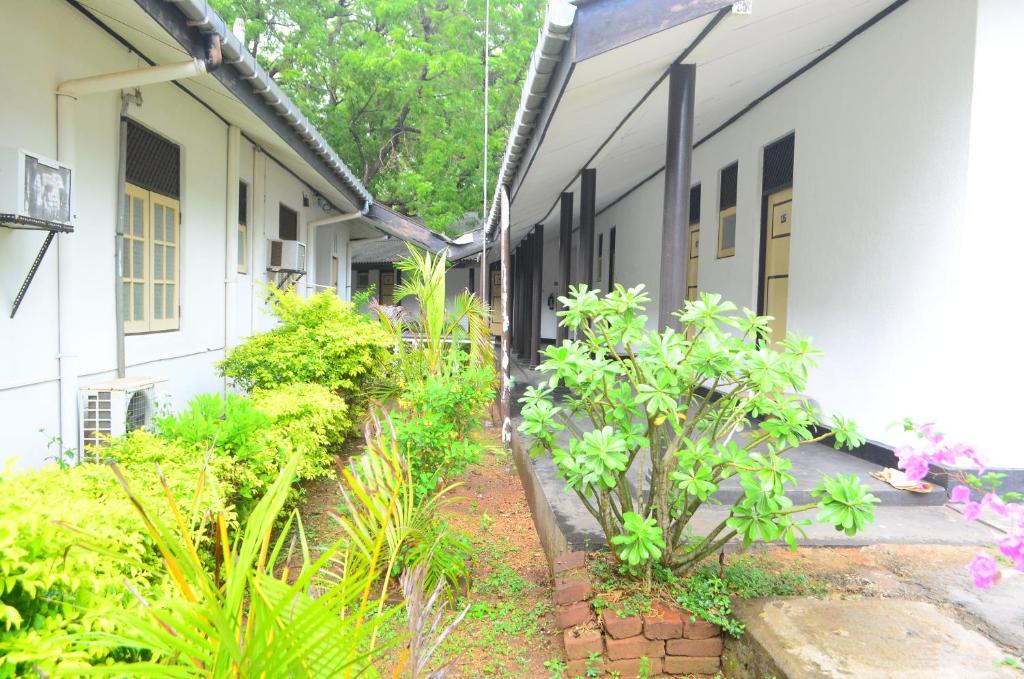 Zahrada ubytování Jayasinghe Holiday Resort