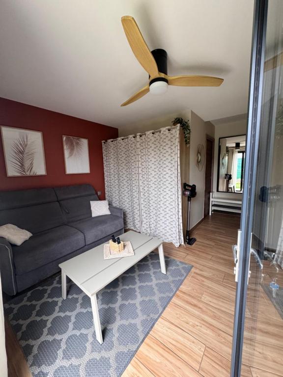 un soggiorno con un divano e un ventilatore a soffitto di Cosy studio Noha a Thonon-les-Bains