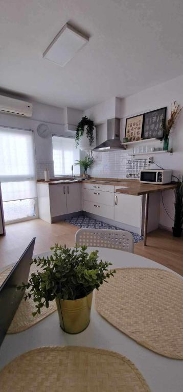 Estudio Conil de la Frontera