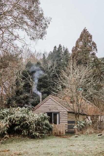 a house with smoke coming out of it in a field at Sky Cabin. Cosy Forest Log Cabin 3 night minimum in Wareham