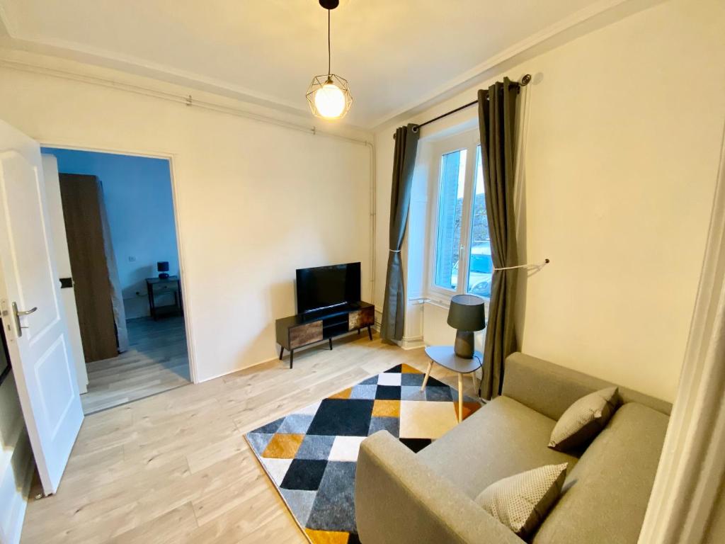 a living room with a couch and a television at Charmant 3 pièces in Saint-Claude