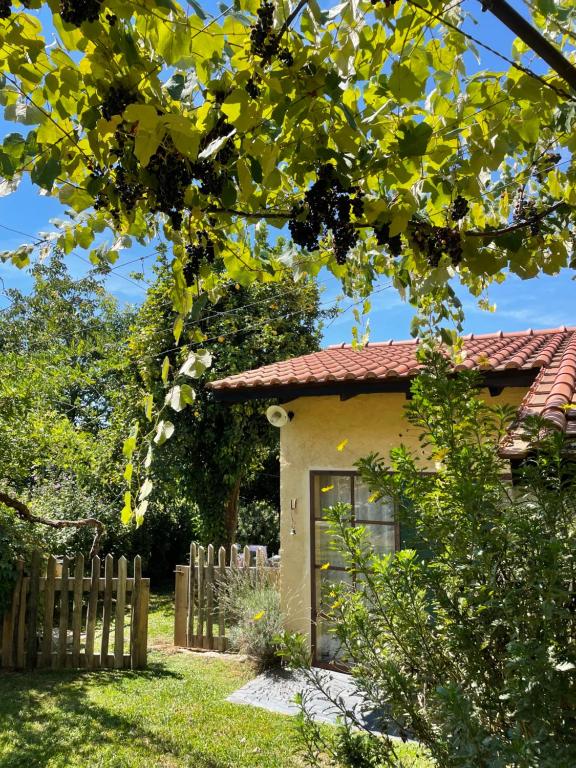 Casa de Vilar de Rei, a tranquilidade do mundo rural