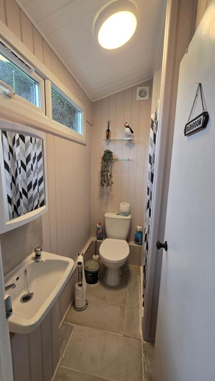The Snug @ Clarach Bay photo 8