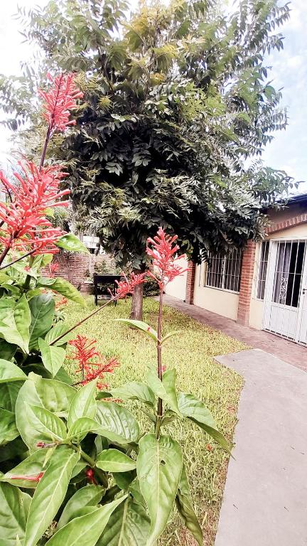 a garden with red flowers and a sidewalk at Departamento Interno con vistas al jardín in Santo Tomé