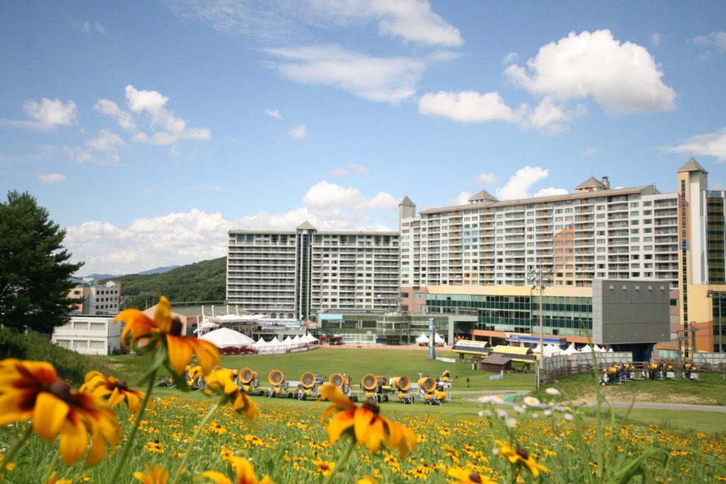 a large building with a field of flowers in front of it at Wellihilli Park Resort in Hoengseong