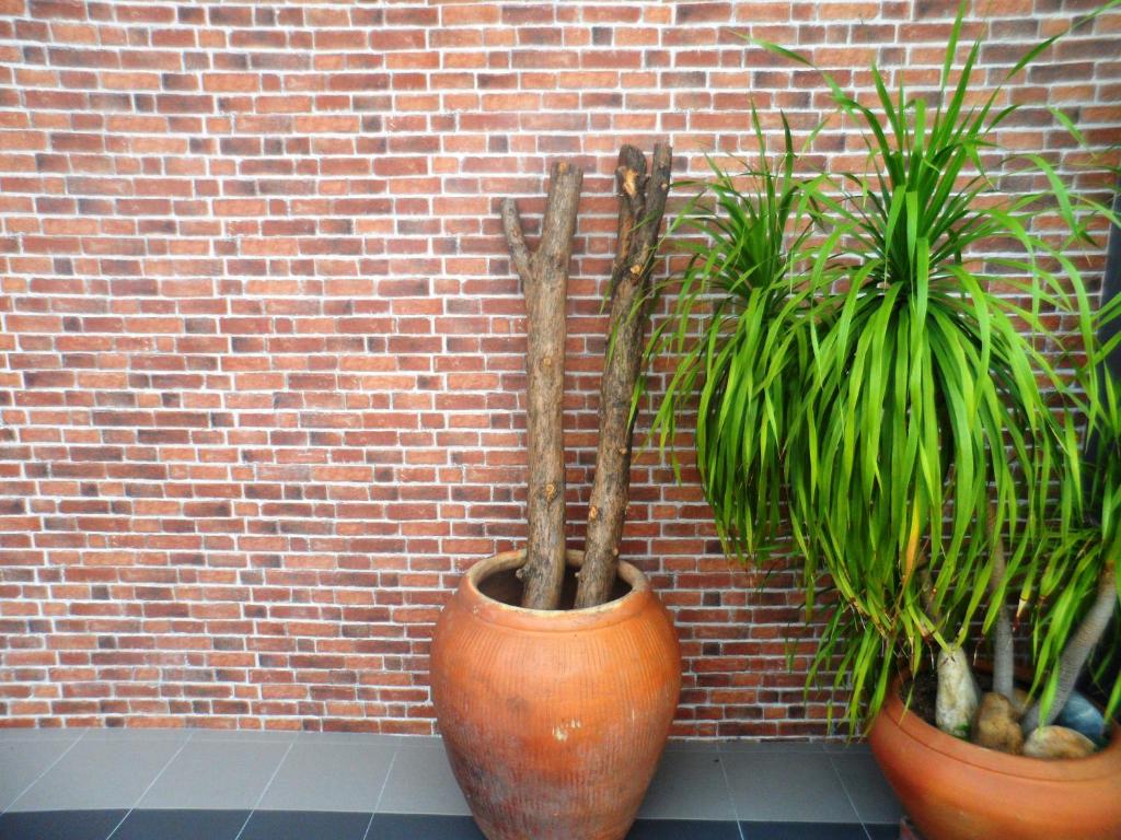 Fotografie z fotogalerie ubytování Austin GuestHouse v destinaci Ipoh