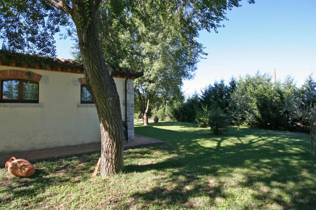 Zahrada ubytování Pienza by PosarelliVillas
