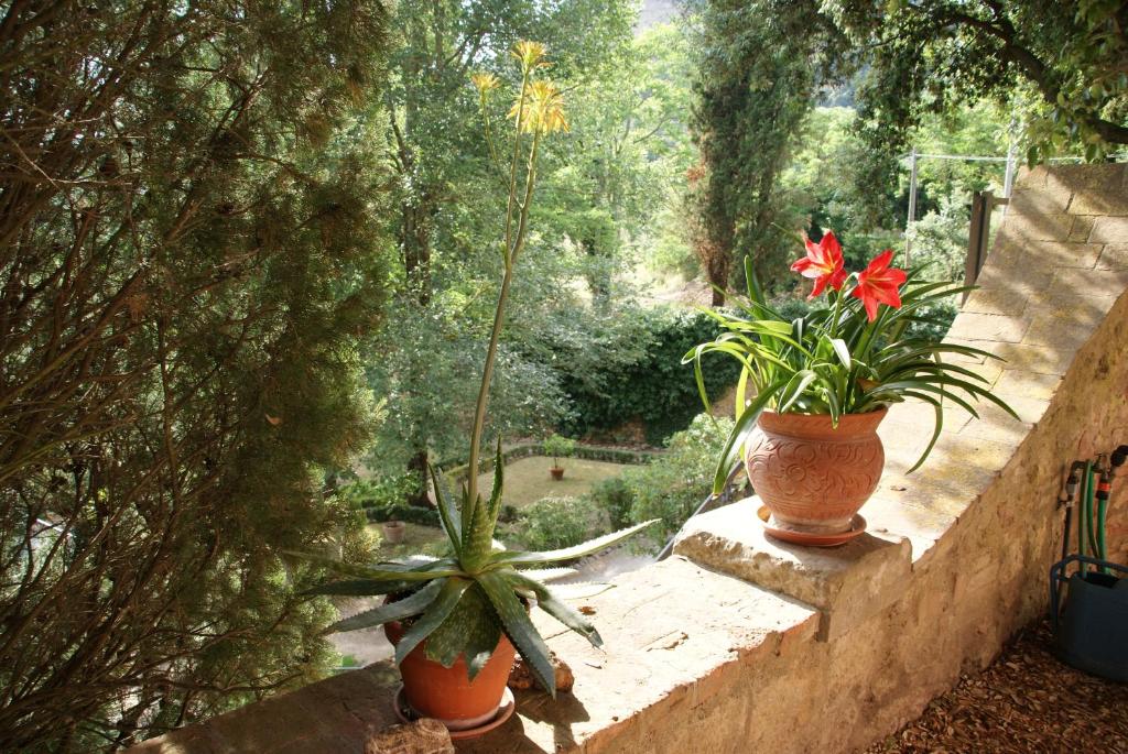 Vonkajšia záhrada v ubytovaní Villa Palagione Centro Interculturale