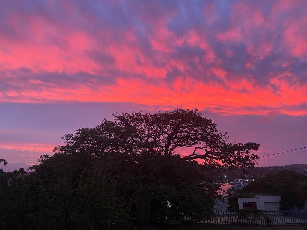 a sunset with a tree in the foreground at Beach Cresent Cottage in Port Alfred