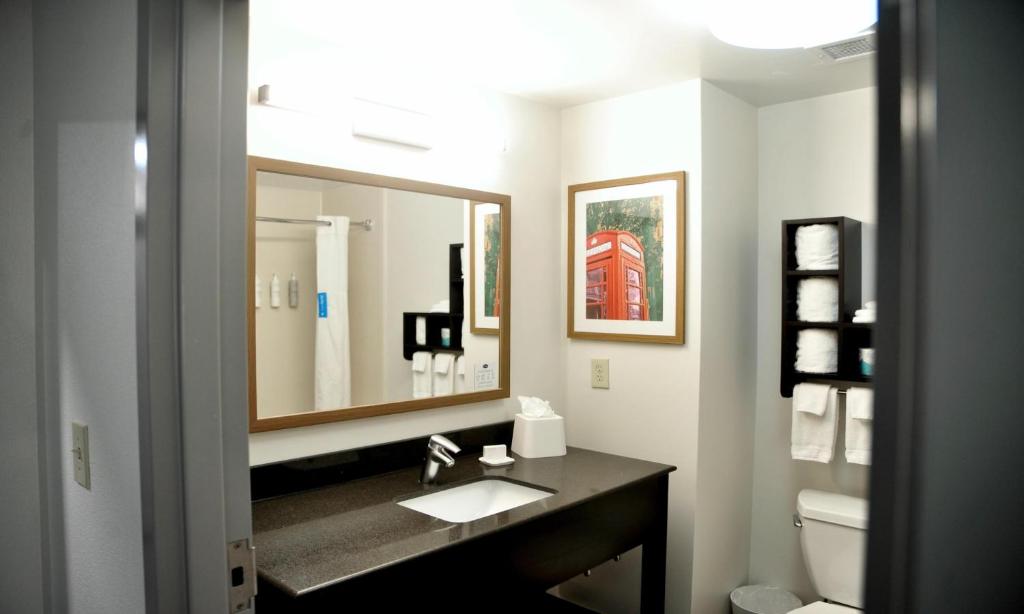 Hampton Inn Oxford/Conference Center - Camera King - Accesso Disabili/Non Fumatori