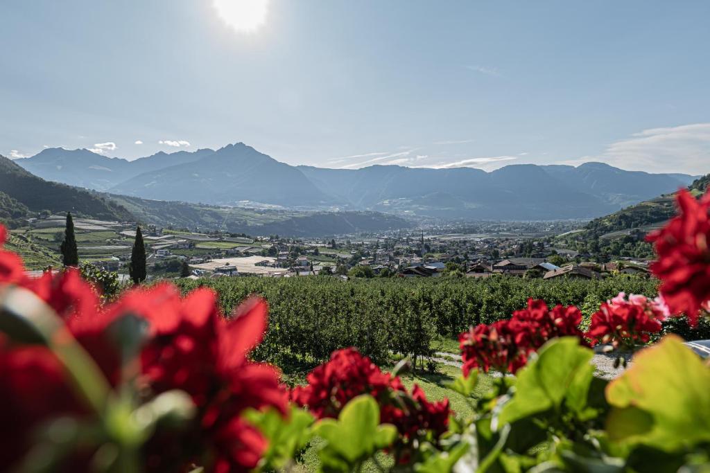 a view of a vineyard with red flowers and mountains at Baumgartnerhof in Lagundo