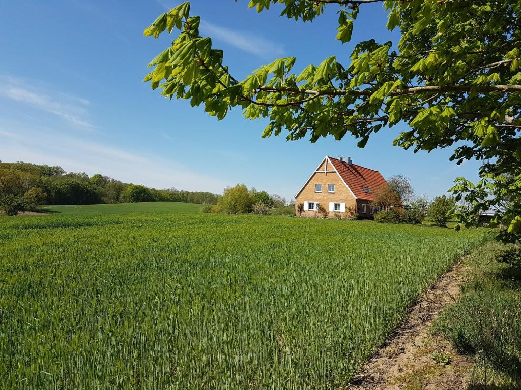 an old house in the middle of a field at Ferienwohnung Kranichblick in Hoppenrade