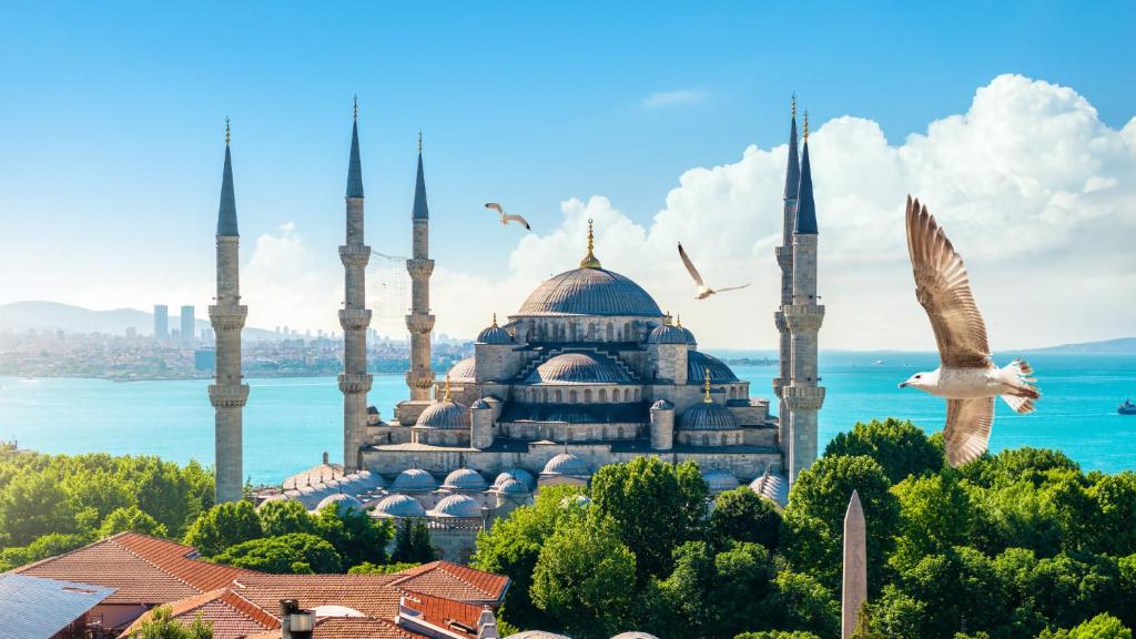a blue mosque with birds flying in front of it at Istanbul Old City Sultanahmed Miran Hotel in Istanbul