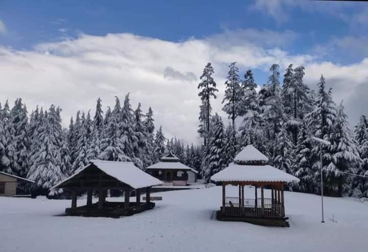 two gazebos covered in snow in front of trees at Sunset Homestay in Sainj