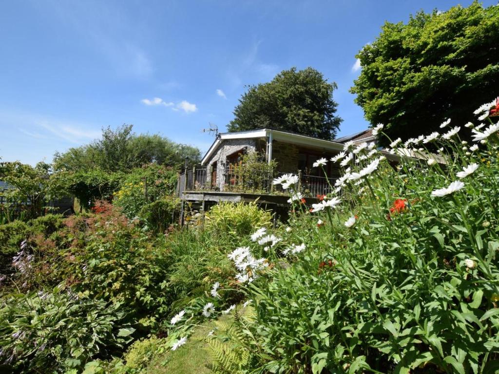a garden with white flowers in front of a house at 1 Bed in Lampeter oc-43288 in Tregaron