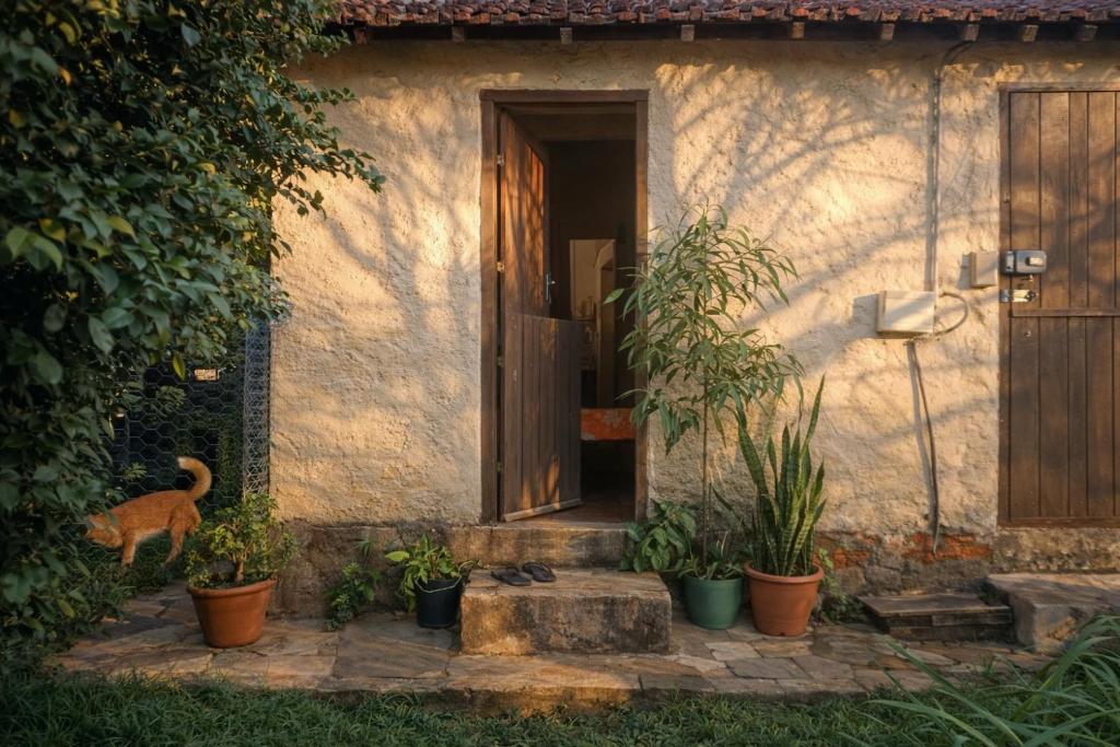 a dog standing in front of a house with a door at Chalé do Ben in São Thomé das Letras