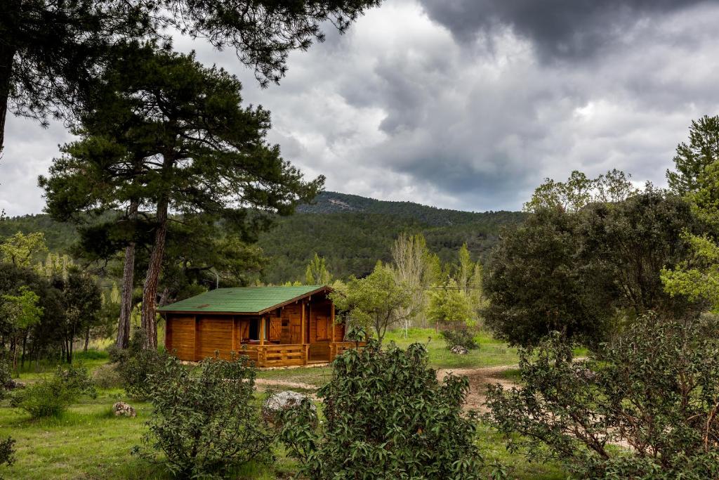 Imagen de la galería de El Llano de los Conejos Serranía de Cuenca, en Cañamares