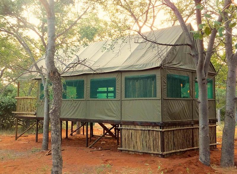 a large green tent in the middle of trees at Iphofolo Lodge & Tented Camp in Vivo