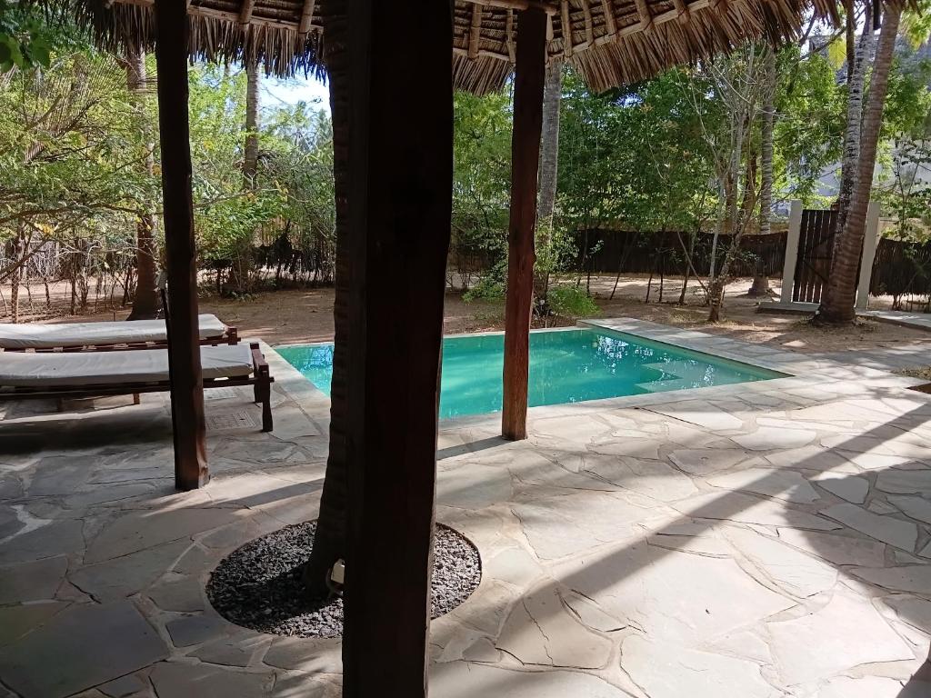a swimming pool with a straw umbrella and a table at Marlin room in Watamu
