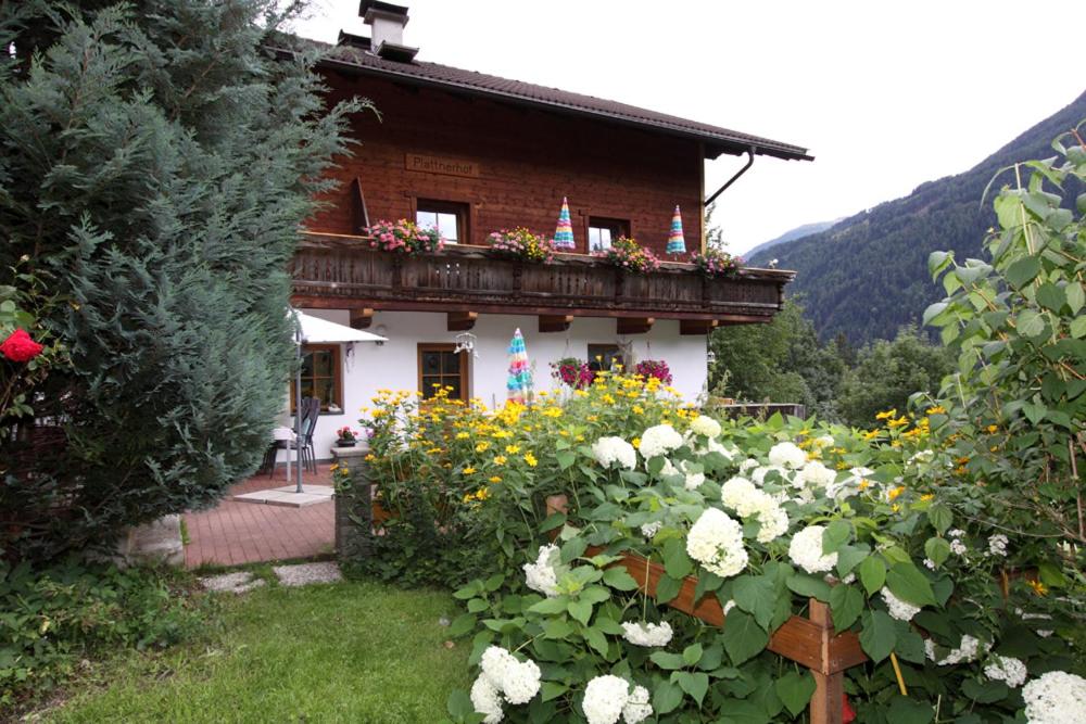 A garden outside Plattnerhof