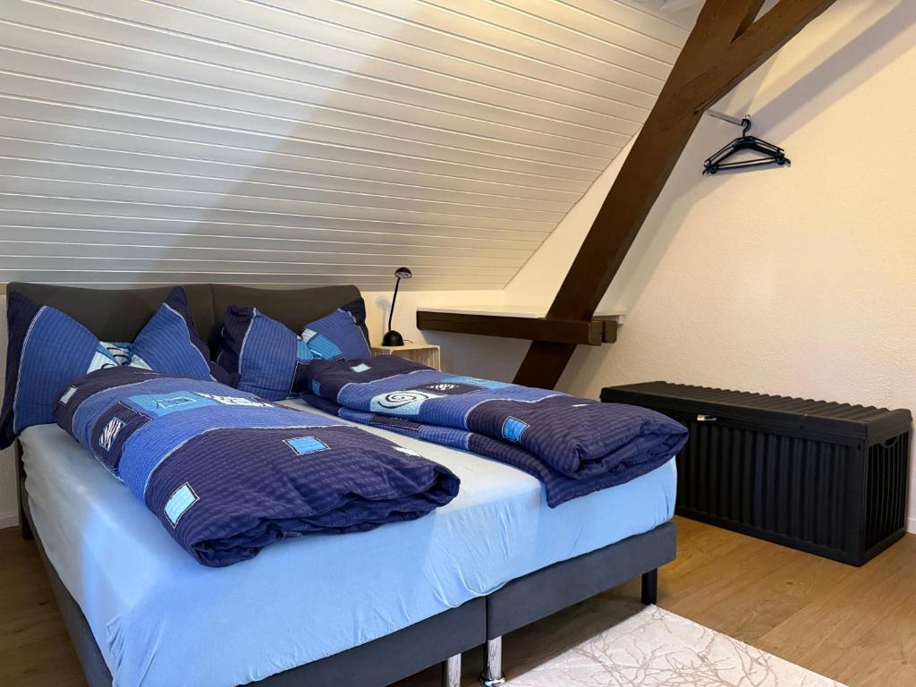 a bed with blue pillows on it in a room at Apartment in Düdingen in Düdingen
