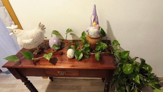 DANDELION Bed & Breakfast – photo 16