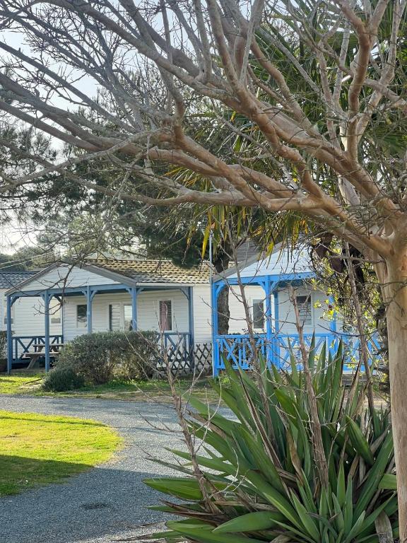 a blue house with a tree in front of it at Camping Le Pavillon bleu in L'Aiguillon-la-Presqu'île