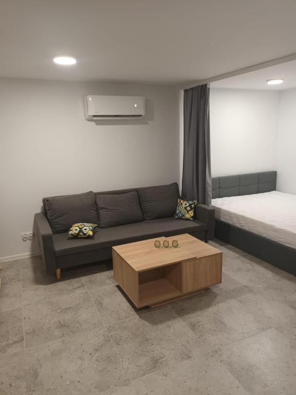 a living room with a couch and a bed at Kawalerka Perzycka in Poznań