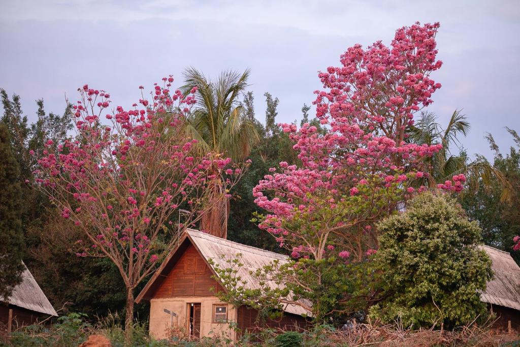 a tree with pink flowers in front of a house at Pousada Corujas in Cajuru do Sul