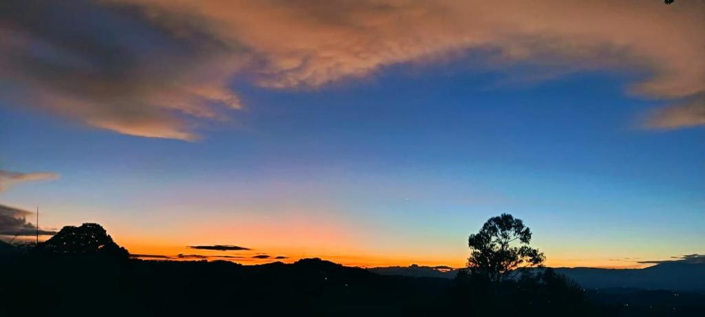 a sunset with a tree in the foreground at Rústico y Natural in Estación El Salto