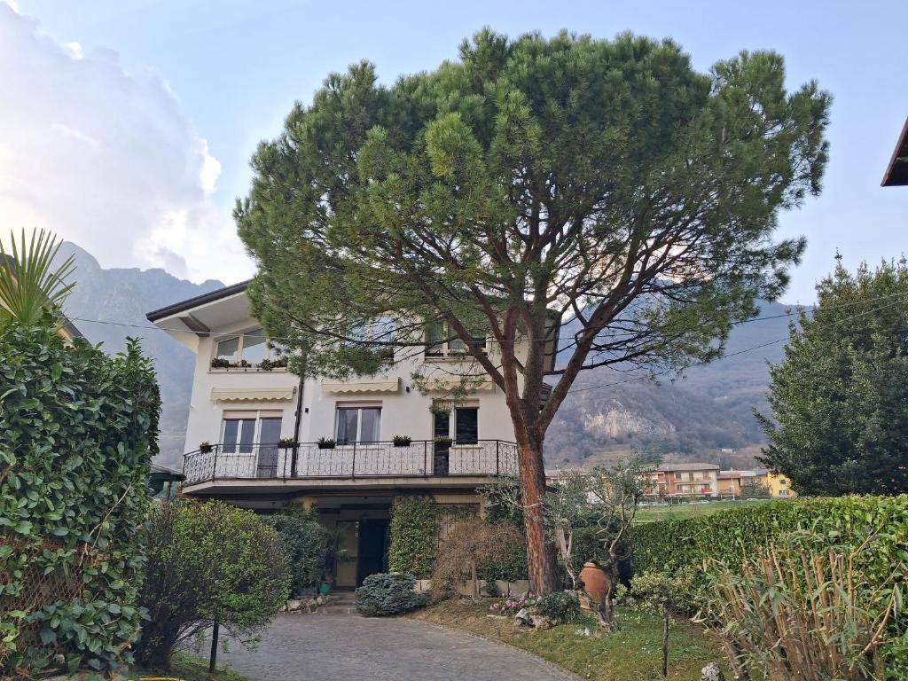 a house with a tree in front of it at Gerry Home in Valmadrera