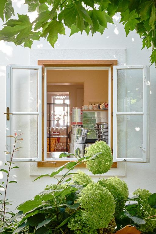 an open window on a house with plants at Gut Purbach in Purbach am Neusiedlersee