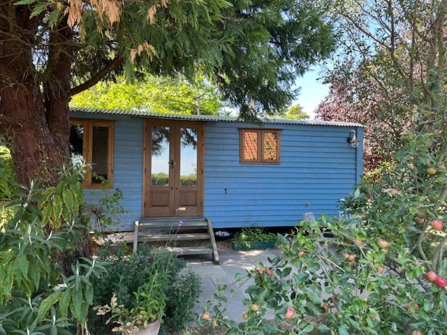 a blue house with a bench in a garden at Swifts Return Shepherd's Hut in North Lopham