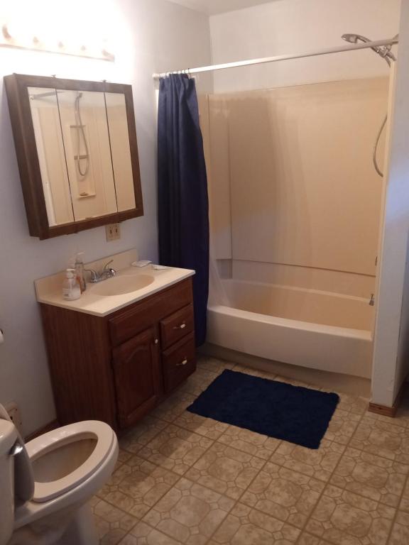 a bathroom with a toilet and a sink and a tub at Altgeld House in South Bend