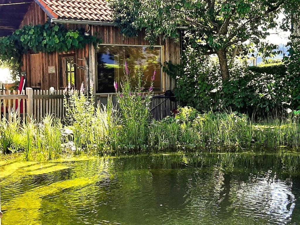 a house next to a pond in front of a house at Honigduft und Bienenluft in Sankt Oswald bei Freistadt