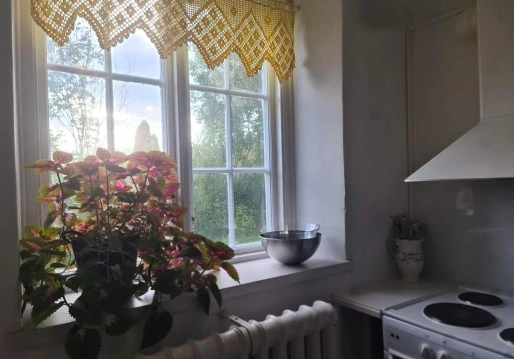a kitchen with a window with a plant on a counter at Nice and cosy flat in Molkom