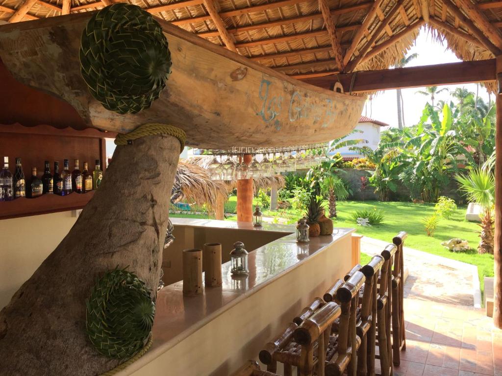 a bar in a resort with a large tree trunk at Las Galeras Hotel in Las Galeras
