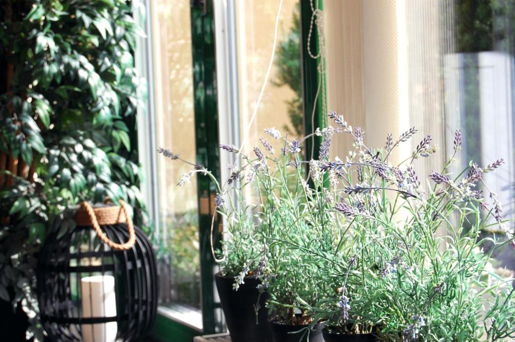 Zahrada ubytování Home Hotel Bolinder Munktell