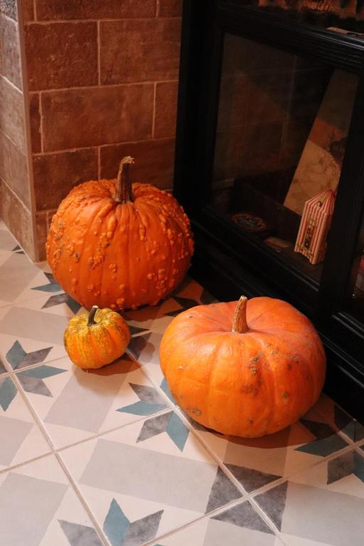 Le Gite du Sorcier ! Appartement magique – photo 4