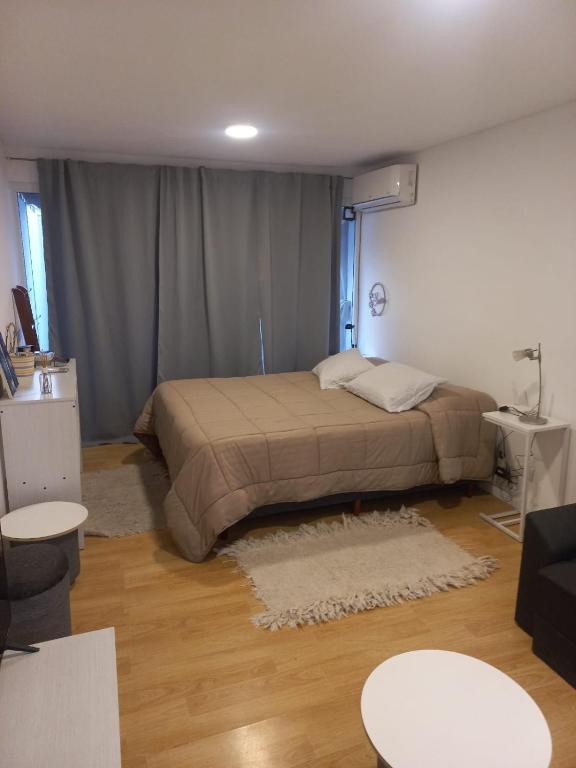 a bedroom with a bed in the corner of a room at Monoambiente Evanz in Ciudad Lujan de Cuyo