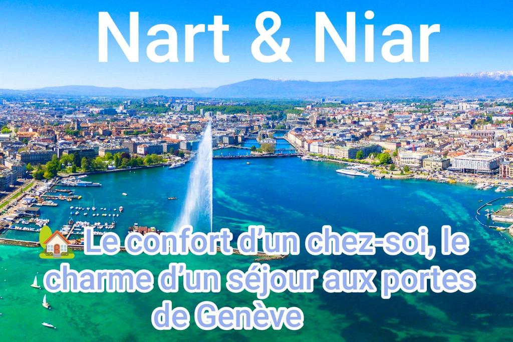 a view of a river with a city and a fountain at Nart & Niar in Annemasse