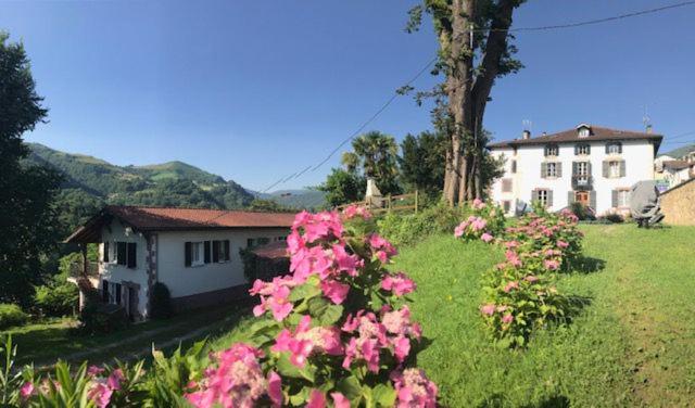 a house with pink flowers in front of a yard at Etxezuria in Valcarlos